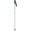 Goode Carbron Neutral Ski Poles | Sea Foam Green | 44-54" -Ski Gear Store USG GOODE