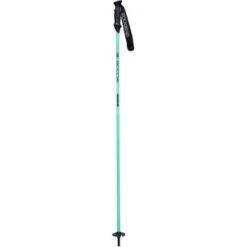 Goode Carbron Neutral Ski Poles | Sea Foam Green | 44-54"